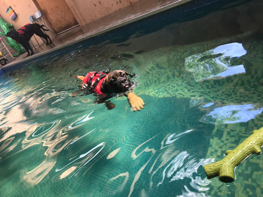 leren zwemmen, augustus 2019