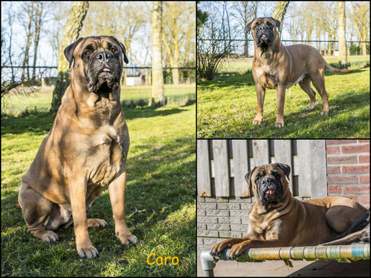 Caro 6 jaar, 6 maart 2025