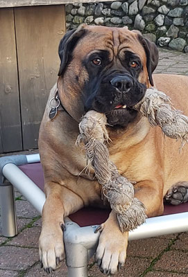 Nala