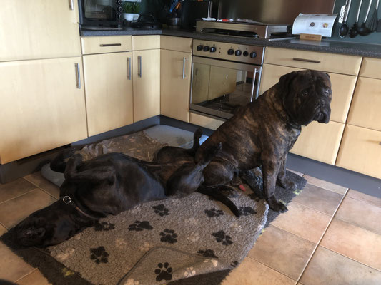 mei 2023 samen met grote vriend Orion