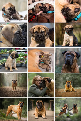 Helaas is Ramée overleden op 23 maart 2025 (20 - 01-2016 - 23-03-2025)