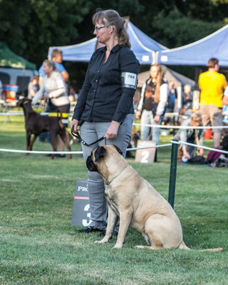 7 juli 19 dogshow Echt