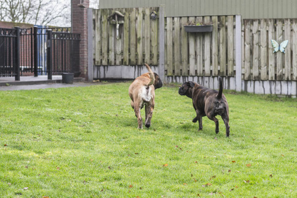 14 januari 2023 samen met halfzus Neeltje