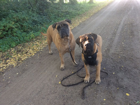 samen met oma Roos 29 juli 2019