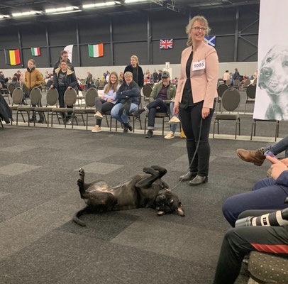 gek doen op show. Februari 2020