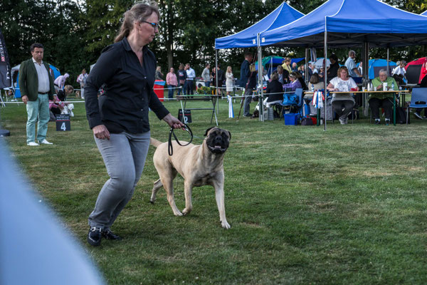 7 juli 19 dogshow Echt