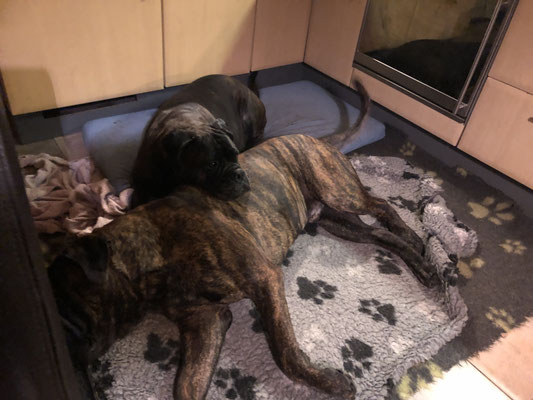 oktober 2023 het is goed rusten op Orion