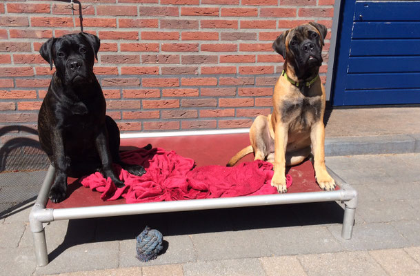 samen met zus Saartje 22 augustus 2019