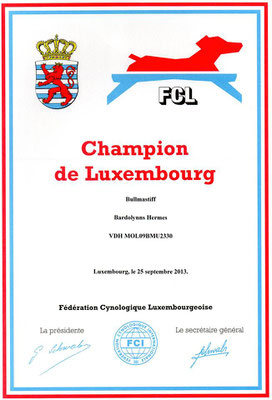 Luxemburgs kampioen