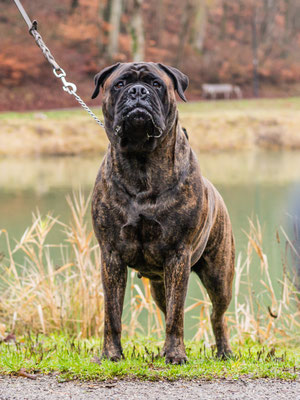 Blacky in Frankrijk, januari 2019