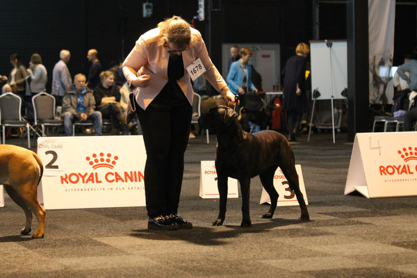 Winnershow 21 december 2019