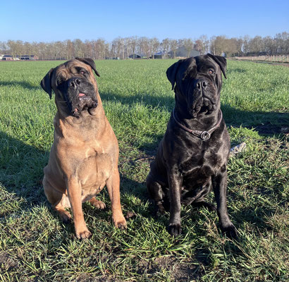 Caro en Saartje 7 jaar op 6 maart 2026