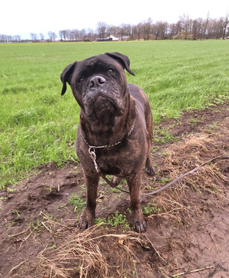 9 jr en 4 mnd, januari 2024