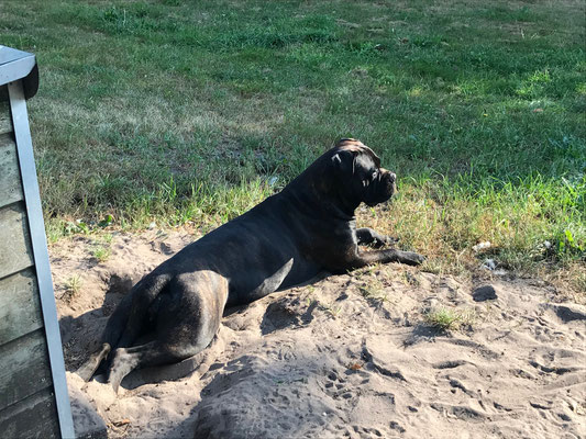 relaxen in het mulle zand