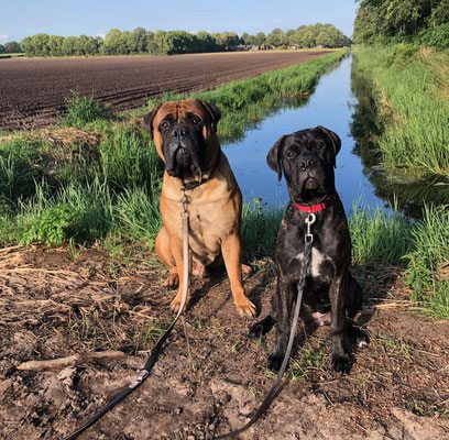 Ivy (donkere) en Oskar juli 2023