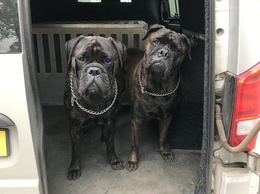 Blacky (rechts) en kleindochter Viva juni 21