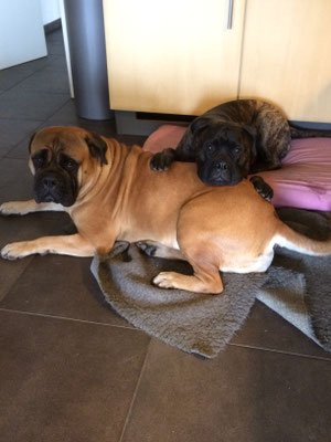 fijn steuntje aan mama Roos