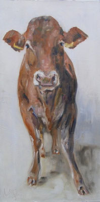 Limousin | oil on linen | 50x100cm