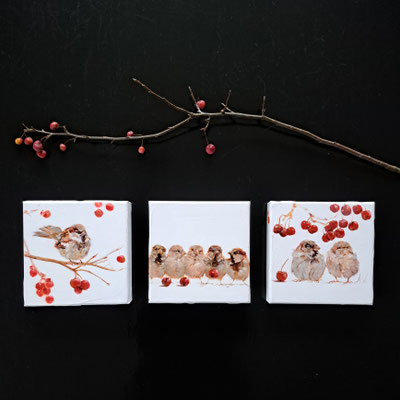 Happy Seasons Uitslover Onder de rode appeltjes *zie beschikbaar werk