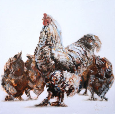 Brahma Haantje de voorste/ ... | oil on linen | 80x80cm