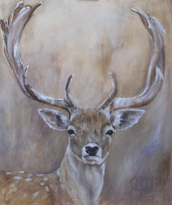 Dambok/Fallow deer| oil on linen | 100x120cm