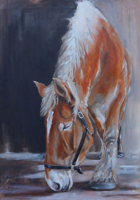 Belgisch Trekpaard | oil on linen | 100x140cm
