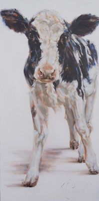 Zwartbonte Koe Allermooiste/Most beautiful | oil on linen |  50x100cm