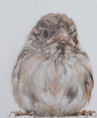 KODDIG!/DROLL! | oil on linen | 100x120cm     Mussen / Sparrows / Spatzen
