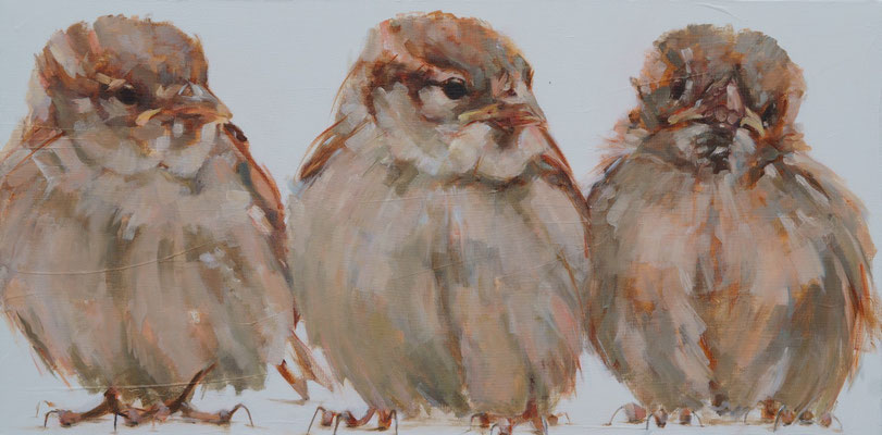 Drie kleine kleutertjes | 100x50cm  Mussen / Sparrows / Spatzen