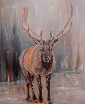 Wapiti | oil on linen | 100x120cm