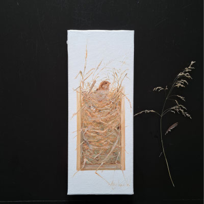 Mussennest 20x50cm olie op linnen *beschikbaar