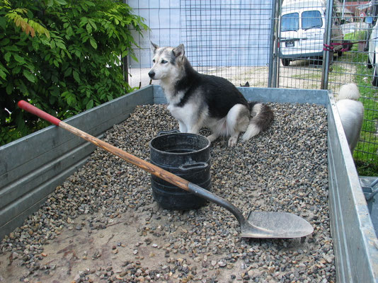 Spk Heilbronn Zeltlager