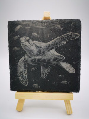 Schildkröte
