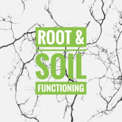 Root and Soil Functioning