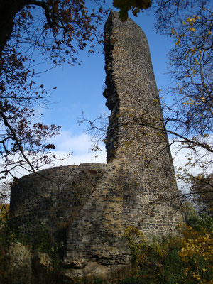 Ruine Tomburg