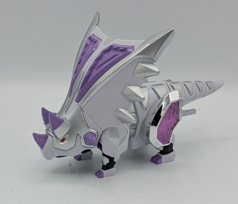 Chasmoshieldon