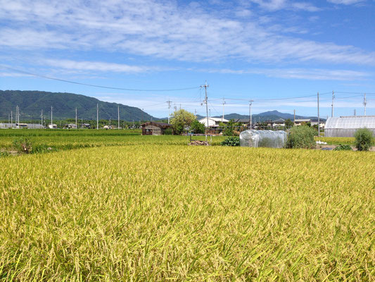 井ノ内から老ノ坂と愛宕山