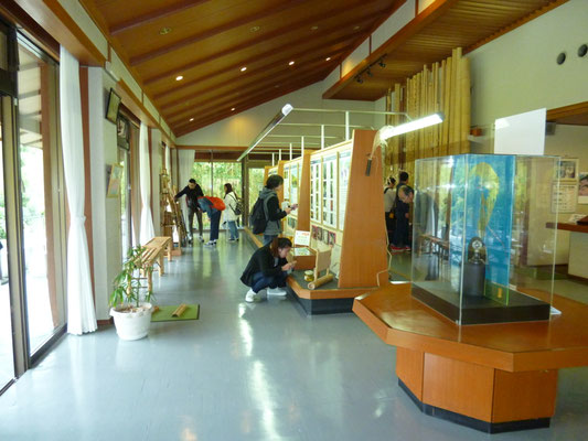 洛西竹林公園