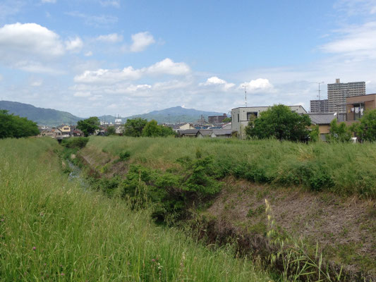 犬川橋からみた愛宕山