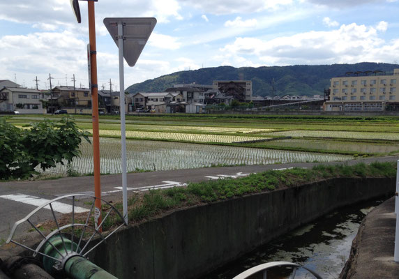 勝竜寺から天王山　左京八条一坊・朱雀大路付近