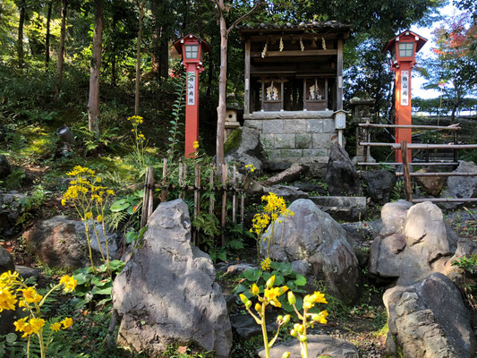 錦景苑