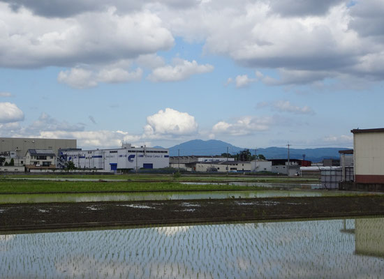 羽束師七間堀川から比叡山　左京六条三坊付近