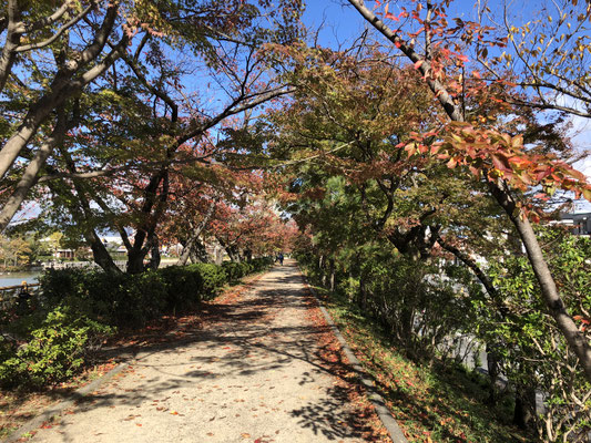 八条ヶ池