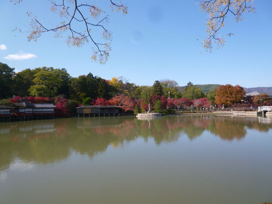 晩秋。出島は江戸時代以来人々を和ませてきた。シンプルなかたちの池のアクセントだ。