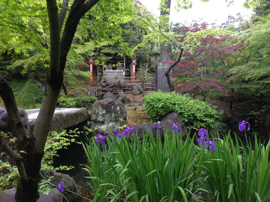 お社の側に、そっと「長岡大明神社殿旧址／祭神細川幽斎公」の石碑がある。長岡大明神は、幕末に京都の桂宮家から遷されたものだ。なぜここにあるの？、それはどうなったの？。