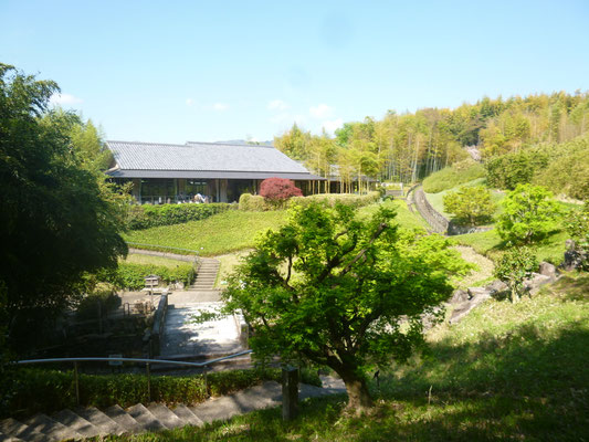 洛西竹林公園