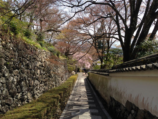 石畳の趣ある参道。