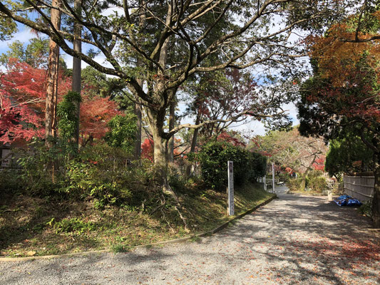 開田御茶屋の築地跡