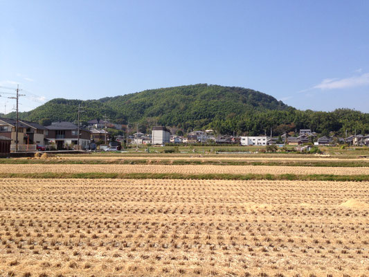長法寺からみた野山。美しい田圃と長法寺集落が一望できる。