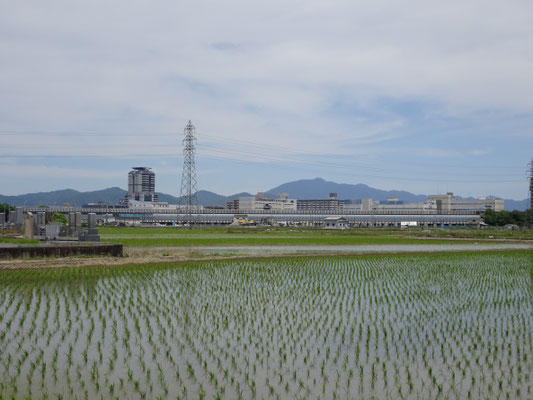 京都市伏見区久我から